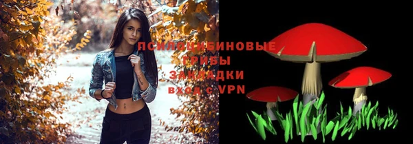 ПСИЛОЦИБИНОВЫЕ ГРИБЫ Алзамай