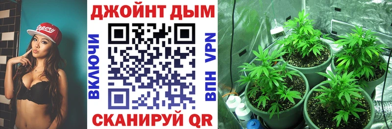 Канабис планчик  цены   Тавда 